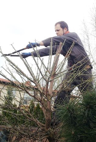 Garden Maintenance