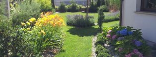 Garden In a Catalpa Shade | Czestochowa