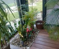 Conservatory in 'In a Shade of Varicolored Maples Garden'