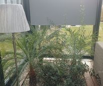 Conservatory in 'In a Shade of Varicolored Maples Garden'