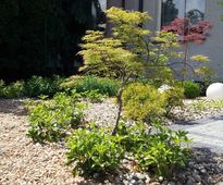 Japanese Nook - City front garden | Czestochowa