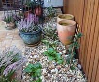 Garden Around the Terrace - small urban back graden