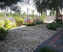 Garden In a Catalpa Shade | Czestochowa