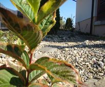 Garden in the Circle of Spirea and Lavender | Klobuck district