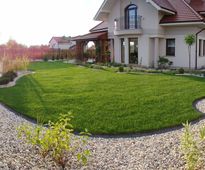 Garden In a Catalpa Shade | Czestochowa