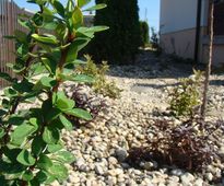 Garden in the Circle of Spirea and Lavender | Klobuck district