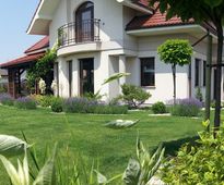 Garden In a Catalpa Shade | Czestochowa